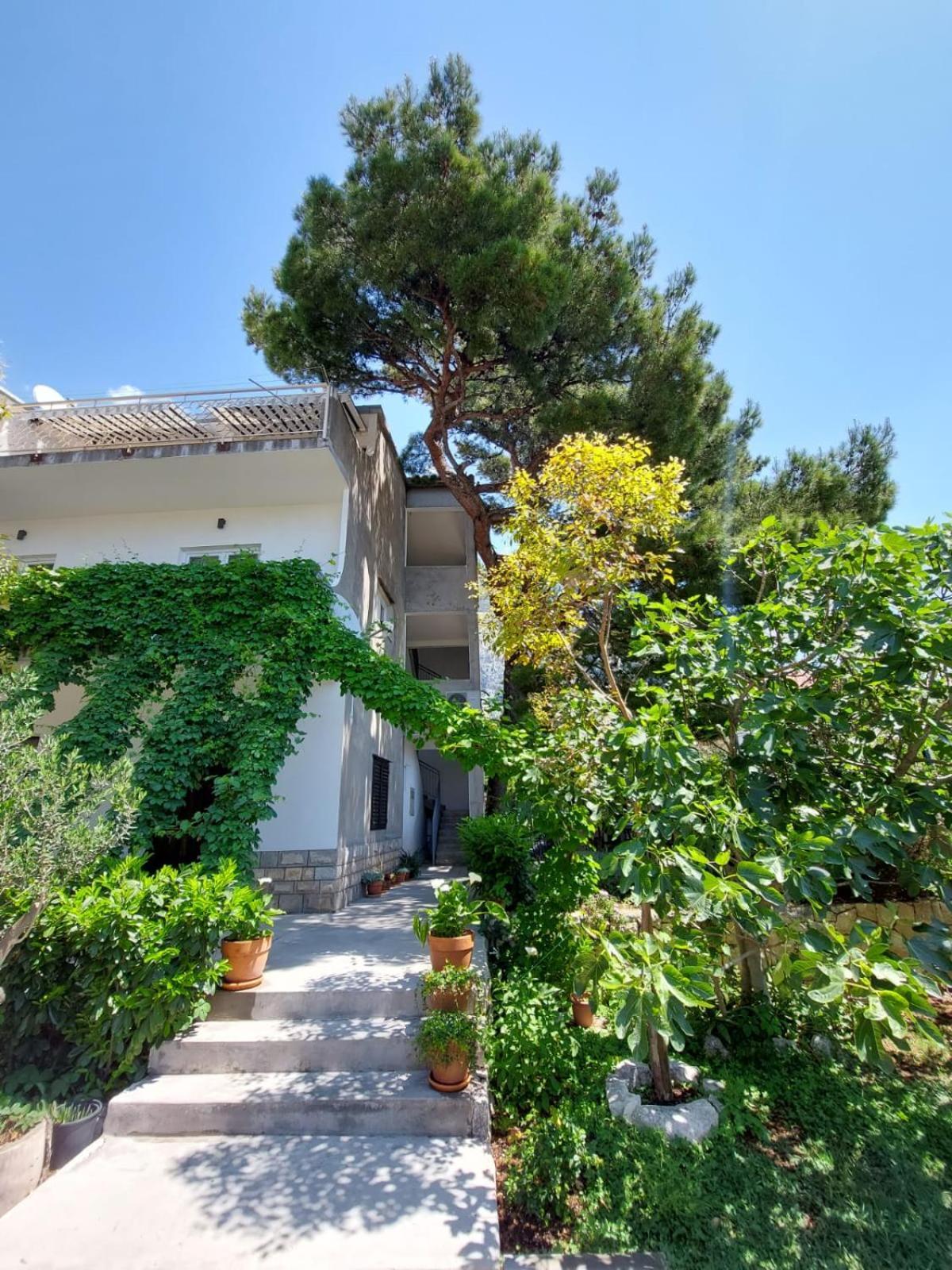 17 Pines Διαμέρισμα Μακάρσκα Εξωτερικό φωτογραφία
