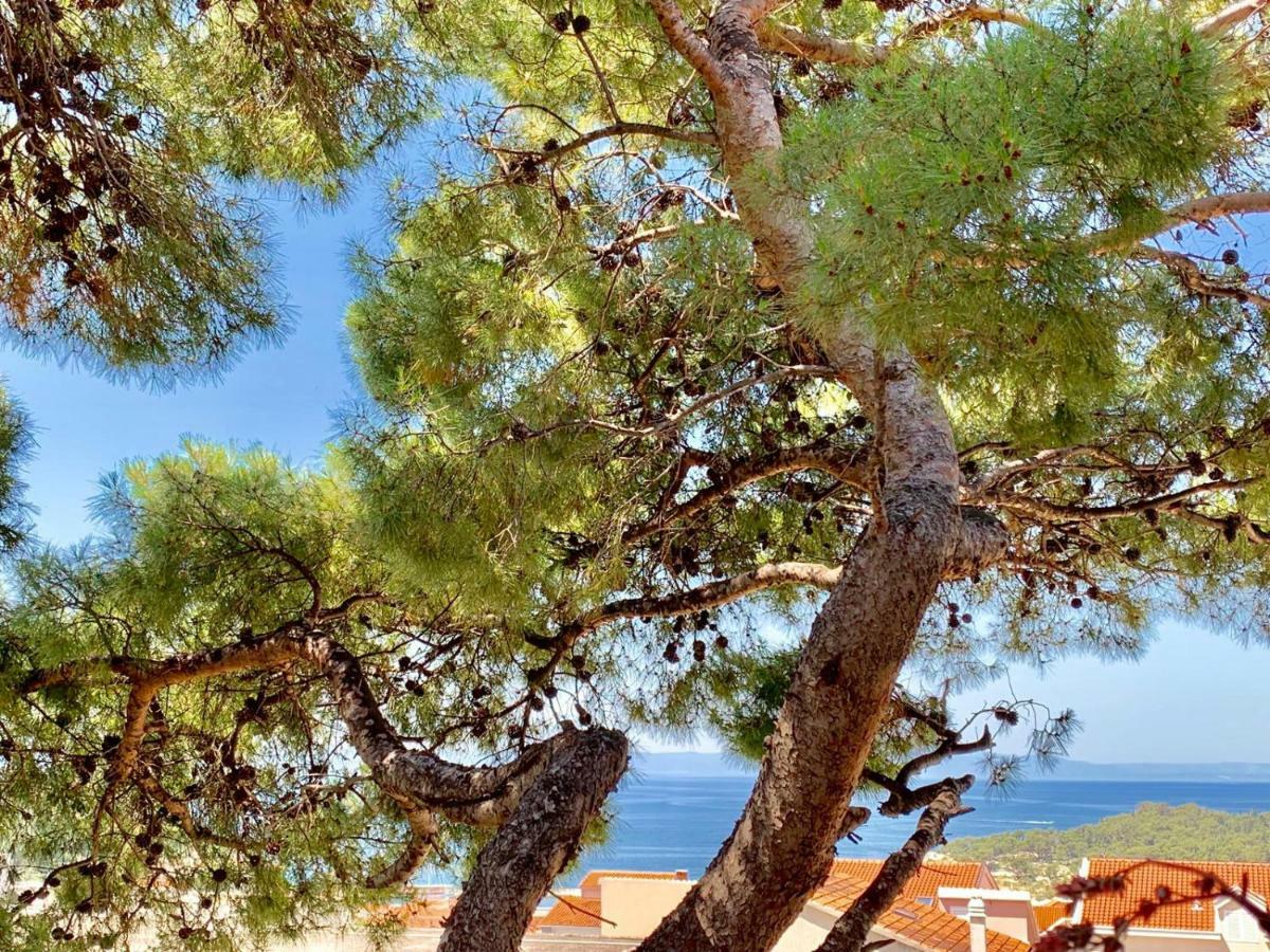 17 Pines Διαμέρισμα Μακάρσκα Εξωτερικό φωτογραφία