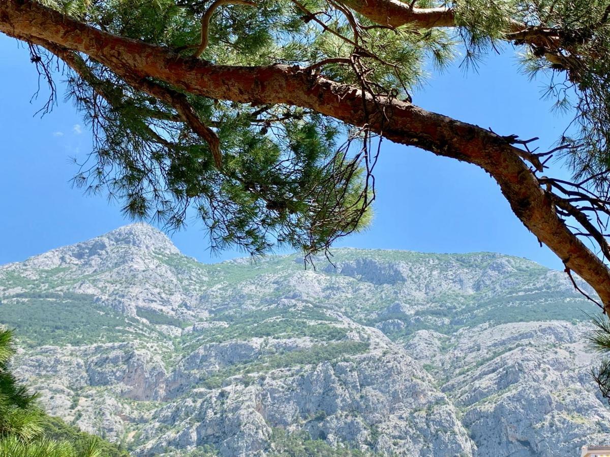 17 Pines Διαμέρισμα Μακάρσκα Εξωτερικό φωτογραφία
